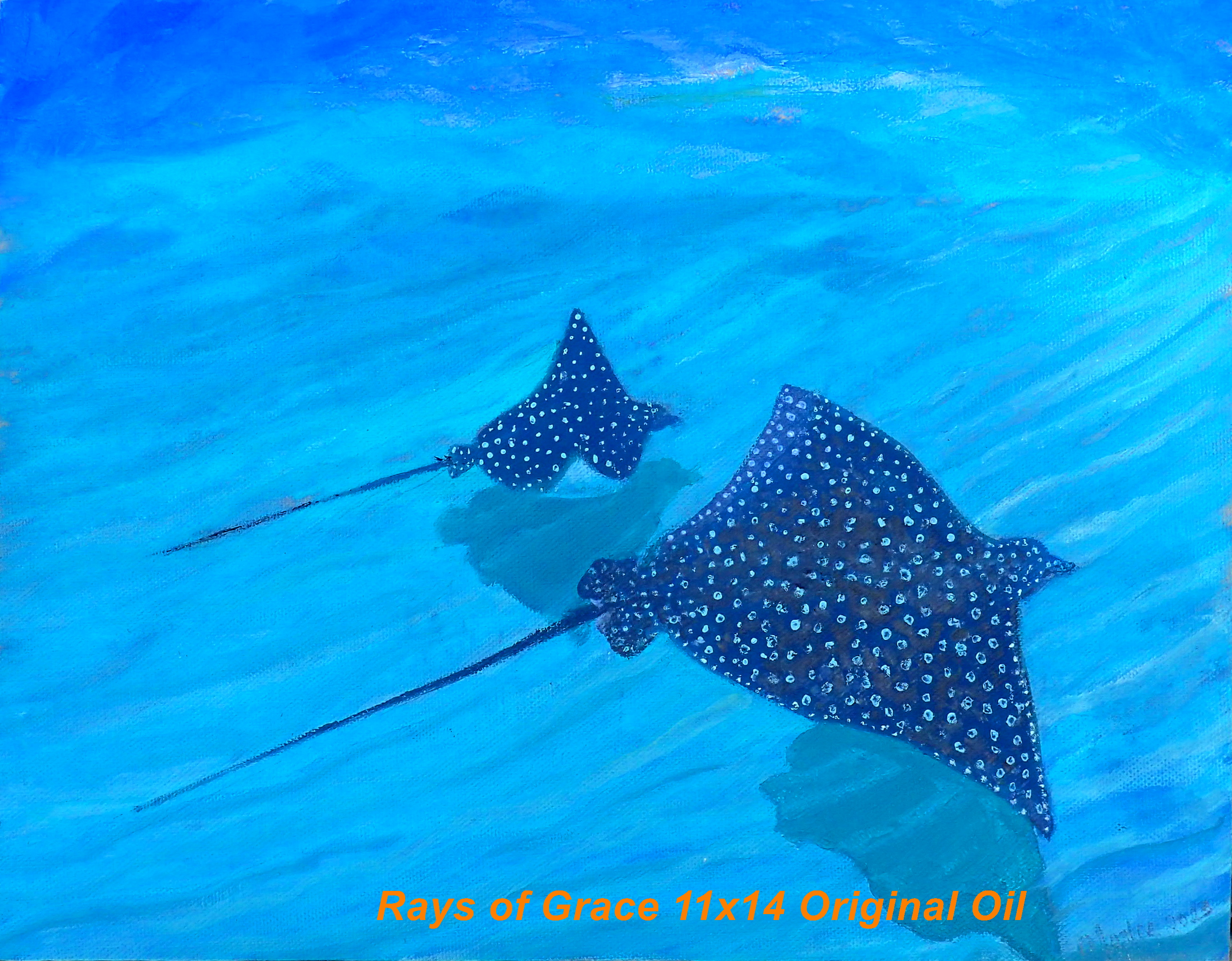11x14 Original Oil on Wood Backed Canvas       The Eagle Ray glides with grace along the sandy bottom next to Sandy Cay Reef in Abaco.  I always feel my spirit is being carried with Grace when I meet 